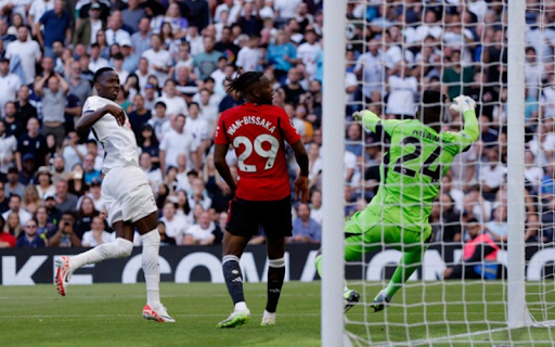 The history and meaning behind Tottenham Hotspur’s nicknames.
